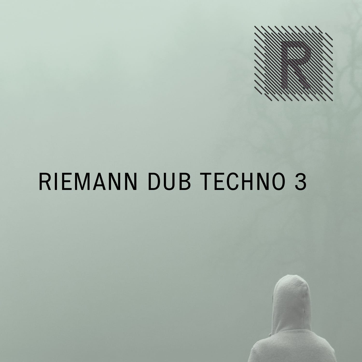 Riemann – Dub Techno 3