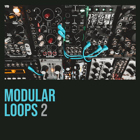 Shed Skin Records - Modular Loops 2 1
