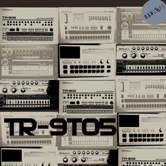 Raw Loops - TR9to5 1