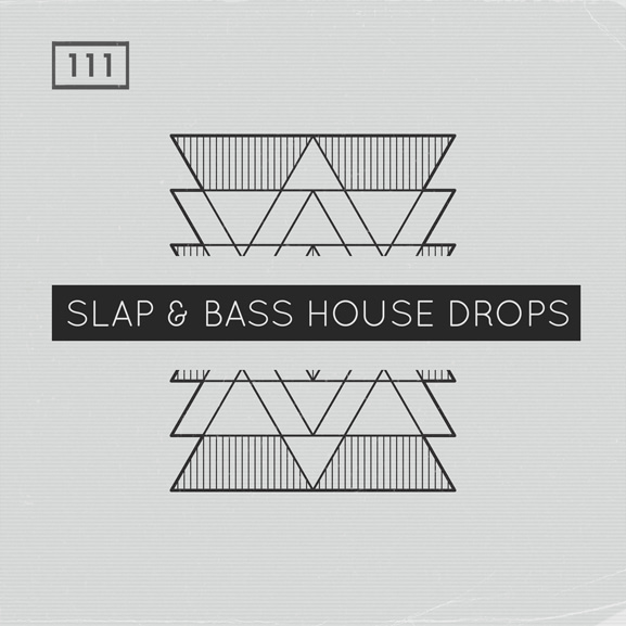 Bingoshakerz - Slap & Bass House Drops 1