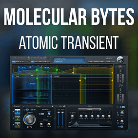 Molecular Bytes – Atomic Transient