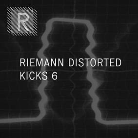 Riemann – Distorted Kicks 6