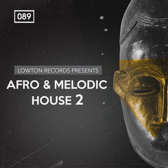 Bingoshakerz - Afro & Melodic House 2 by Lowton Records 1